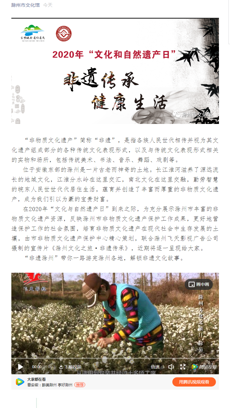 非遺滁州：“傳統技藝”之滁菊.PNG