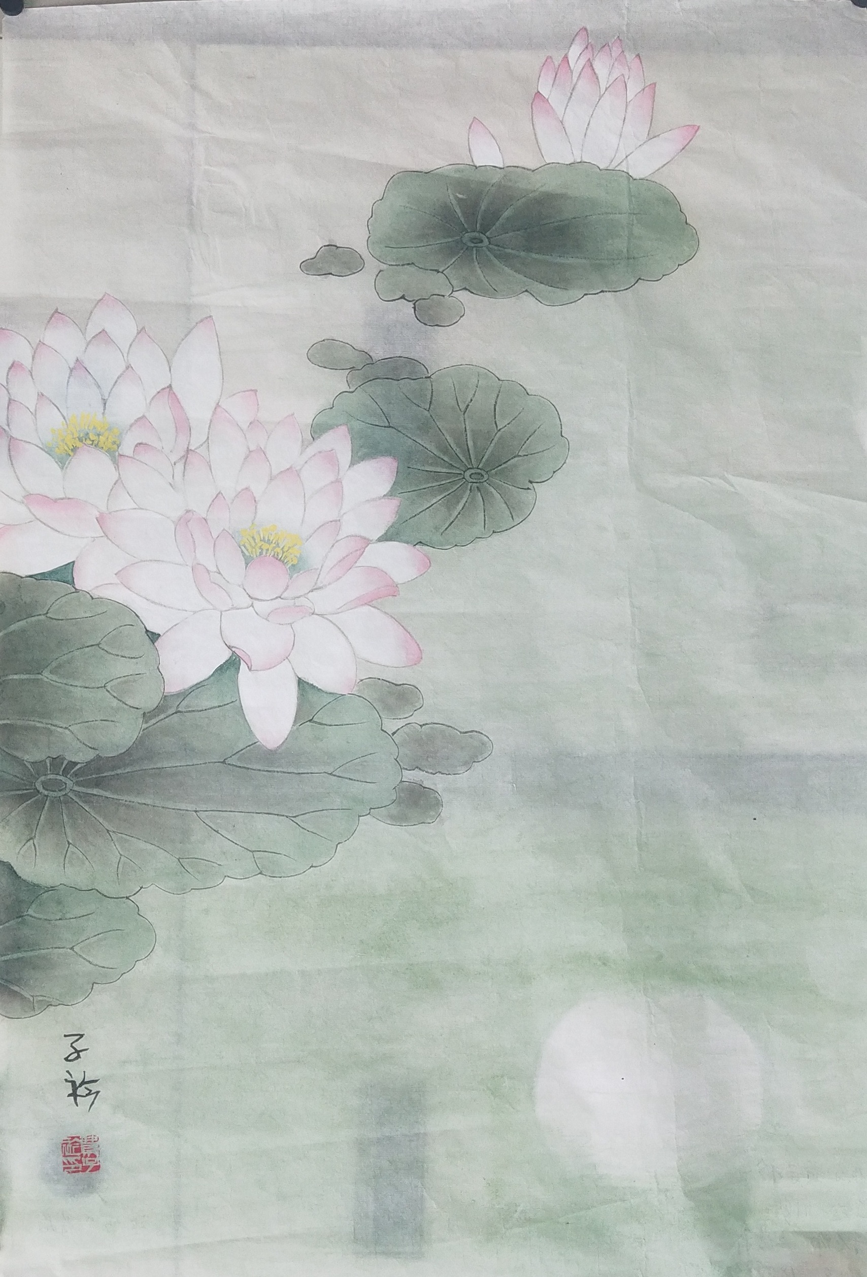 費子衿  荷花.jpg